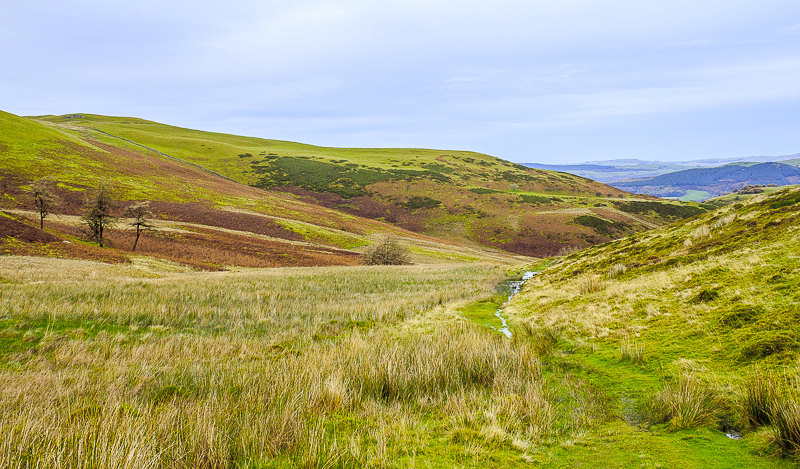 Hatteringill Head Hatteringill Head